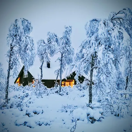 Cosy Mountain Cabin, Geilo * Dagali